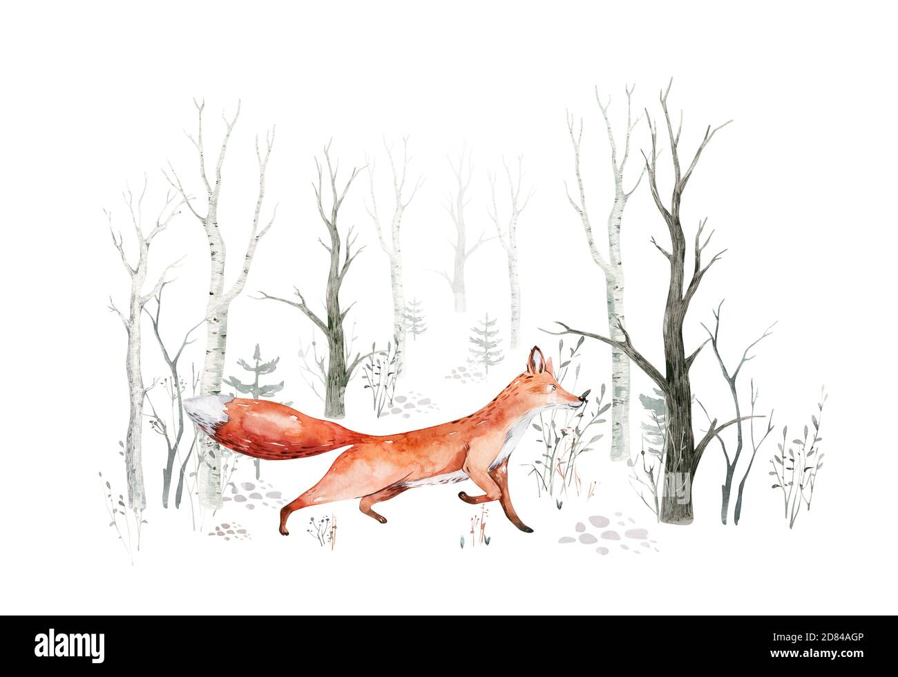 Boisee Aquarelle Animaux Mignon Bebe Renard Pouponniere Motif Renard De Pepiniere De Foret Scandinave Caractere Isole Photo Stock Alamy