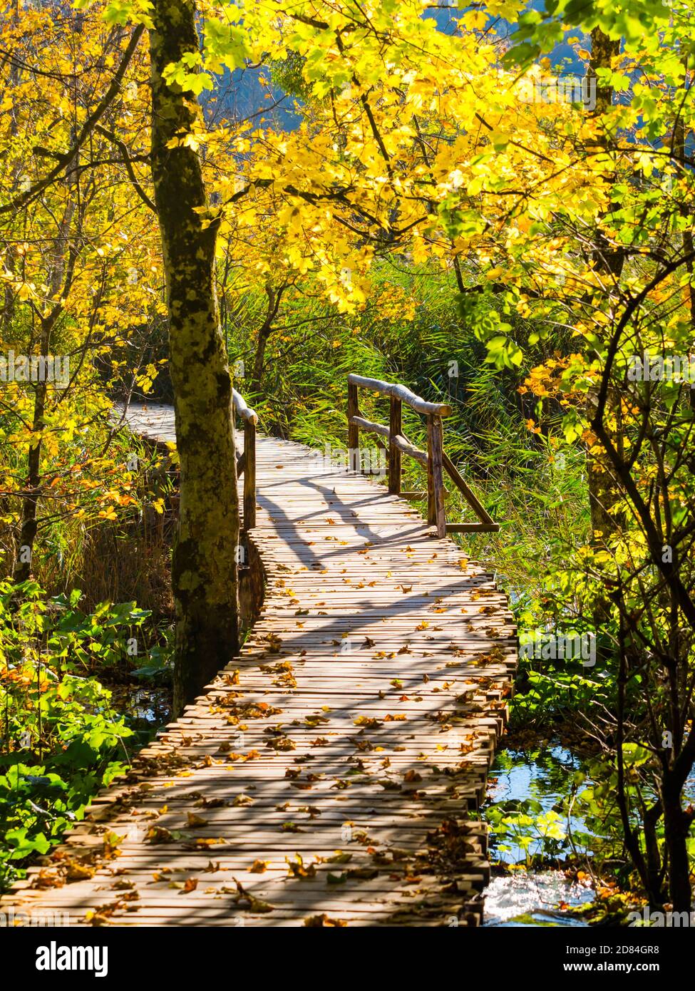 Parc national des lacs de Plitvice situé en Croatie en Europe sentier courbe sentier au sommet d'un lac calme littoral petit pont en bois passerelle Banque D'Images