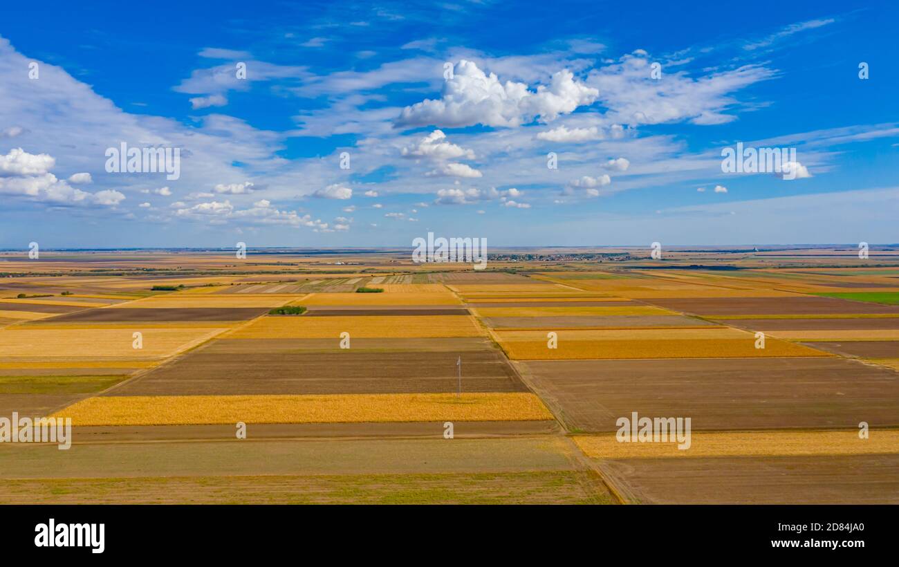 Au-dessus de la vue sur les champs agricoles, parcelles cultivées en saison de récolte, beau ciel bleu avec des nuages blancs moelleux. Banque D'Images