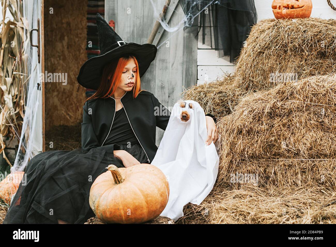 une fille dans un costume de sorcière avec un chien dedans un costume de fantôme ayant l'amusement sur le porche d'un Maison décorée pour célébrer une fête d'Halloween Banque D'Images