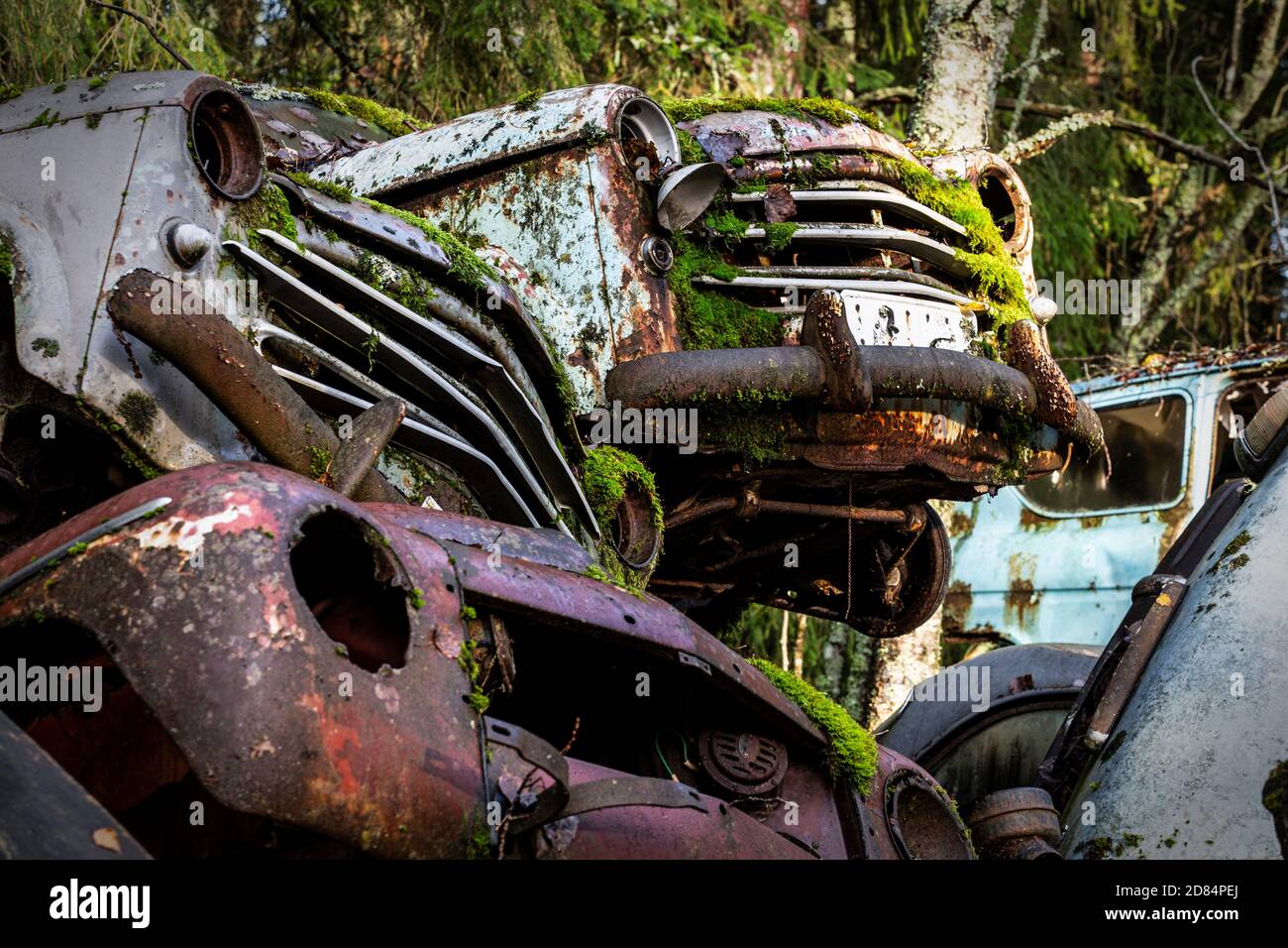 vieille minuterie rouillée cachée dans un bois Banque D'Images