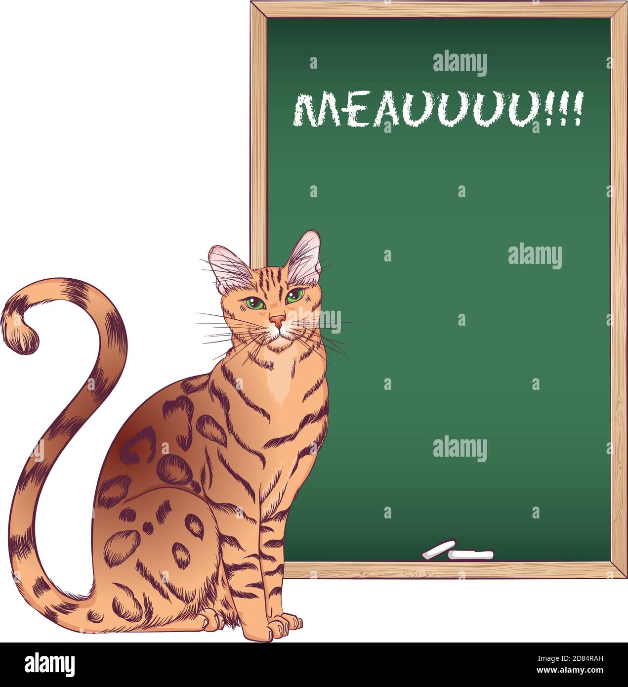 Race Bengale De Chat Assis Illustration Vectorielle Avec Un Chat Pres Du Tableau De Craie Style Dessine A La Main Isole Sur Fond Blanc Placer Pour Le Texte Image Vectorielle Stock