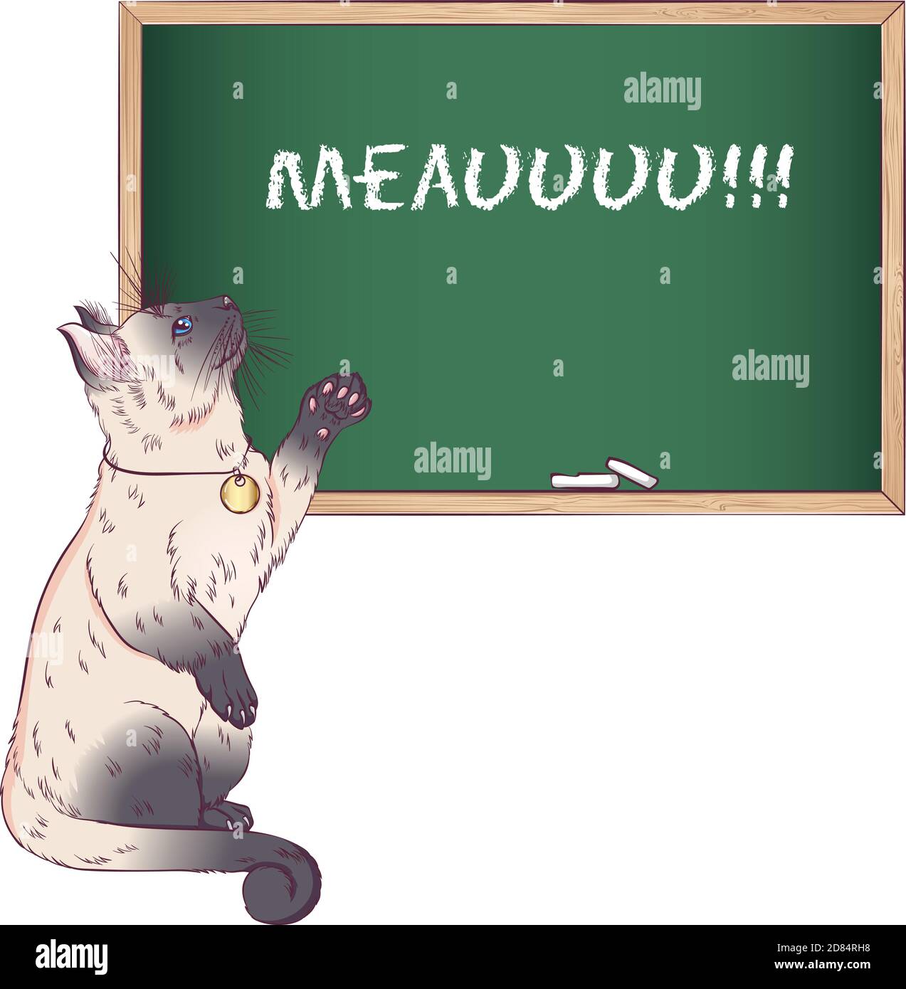 Le chat siamois ou thaïlandais se tient debout sur deux pattes arrière. Illustration vectorielle avec un chat près du tableau de craie. Style dessiné à la main isolé sur fond blanc. Placer pour le texte. Illustration de Vecteur