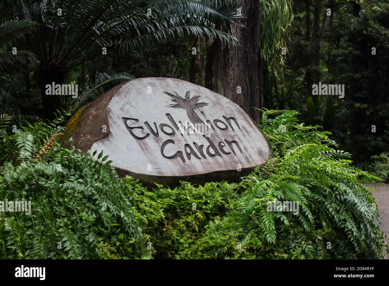 Une promenade pittoresque et éducative au jardin Evolution. Jardin botanique de Singapour. Site du patrimoine mondial de l'UNESCO pour les attractions touristiques. Banque D'Images