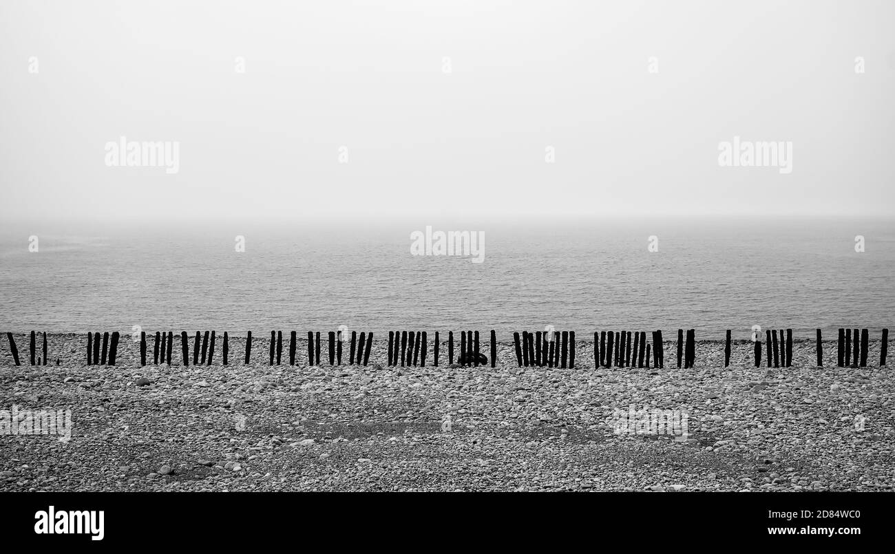 Les barres en bois protégeant la plage de Porlock Wier, Somerset Black and White Banque D'Images