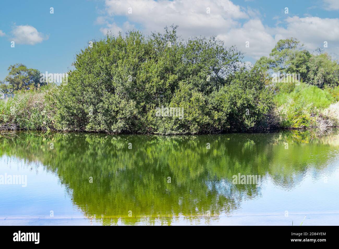 Réserve d'eau pour l'irrigation à Huelva, Andalousie, Espagne Banque D'Images