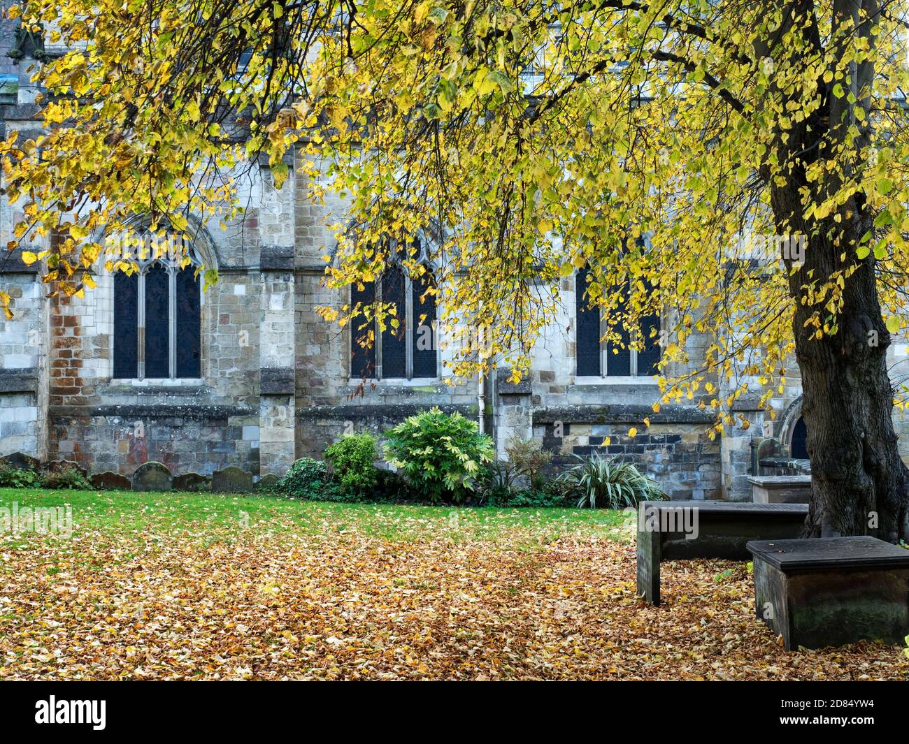 L'église St Johns en automne depuis le jardin du souvenir Knaresborough North Yorkshire, Angleterre Banque D'Images