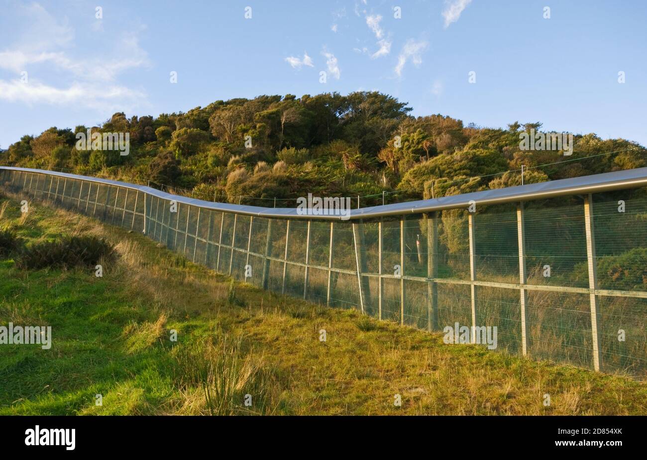 Barrière anti-prédateur, île Stewart, Nouvelle-Zélande Banque D'Images
