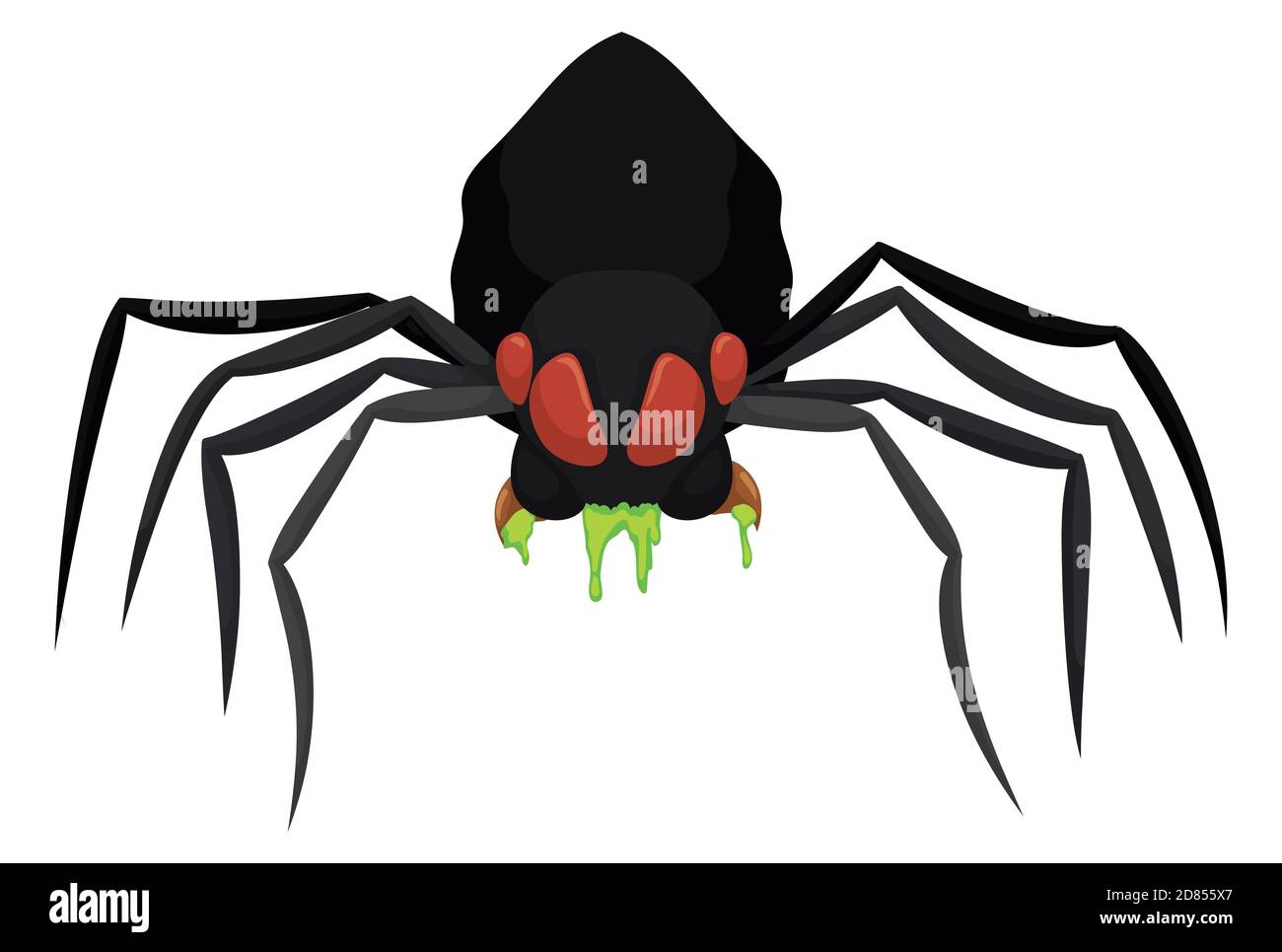 Araignée noire isolée avec une attitude féroce et en coulant un venin dangereux, sur fond blanc. Illustration de Vecteur