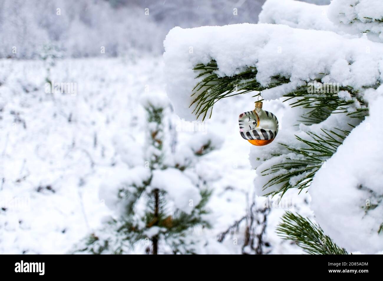 Arrière-plan de Noël avec un jouet d'arbre de Noël d'un chat endormi sur une branche de pin enneigée dans une forêt d'hiver avec un espace de copie. Vacances du nouvel an, Banque D'Images