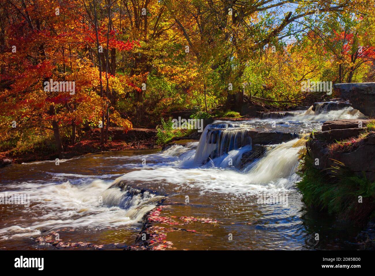 Les chutes Shohola tombent à environ 50 pieds sur une série de crêtes de grès. Situé sur Shohola Creek, dans les montagnes Pocono de Pennsylvanie, il est une tribu Banque D'Images