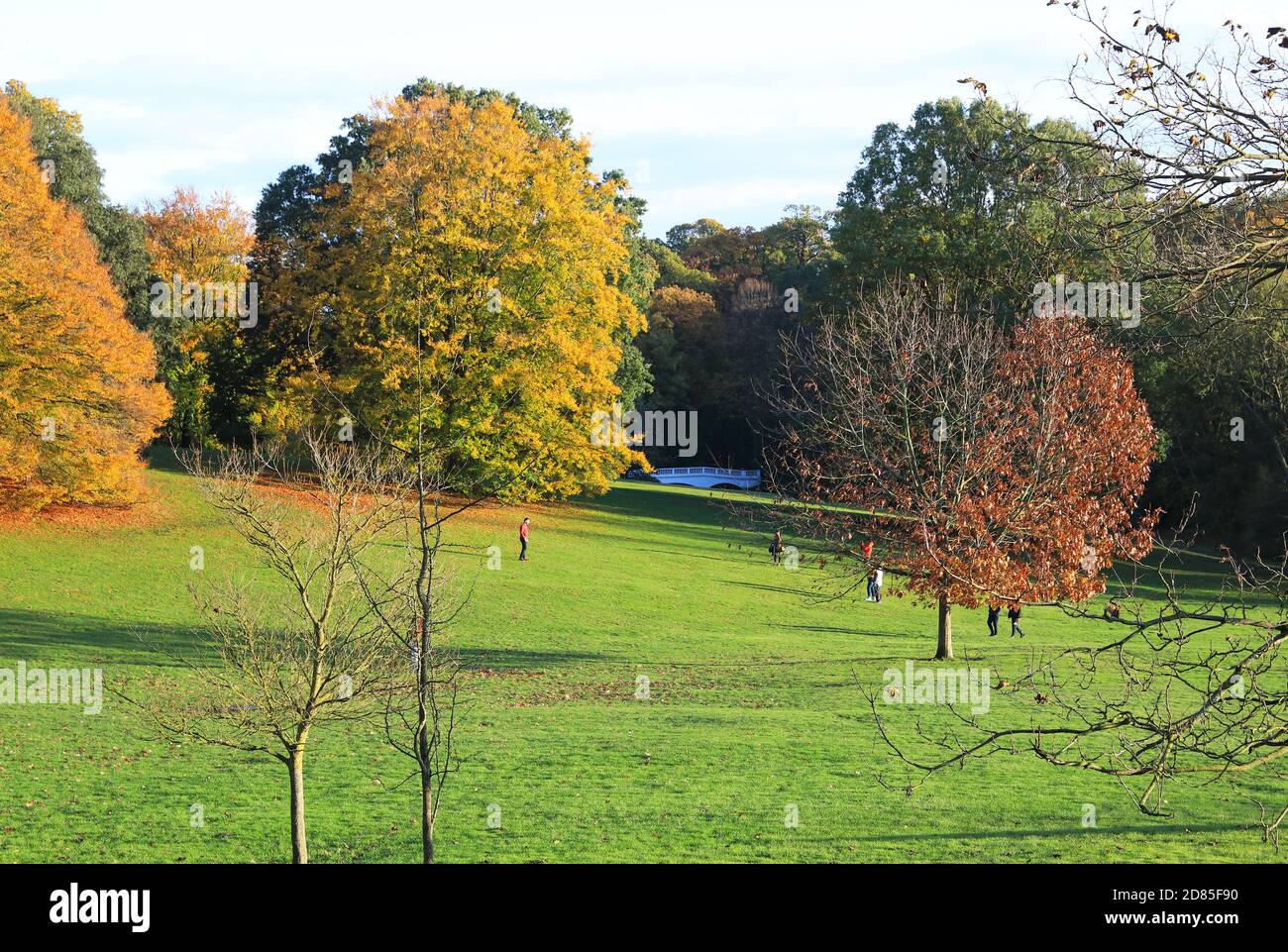 Magnifiques couleurs d'automne sur Hampstead Heath dans le nord de Londres, Royaume-Uni Banque D'Images