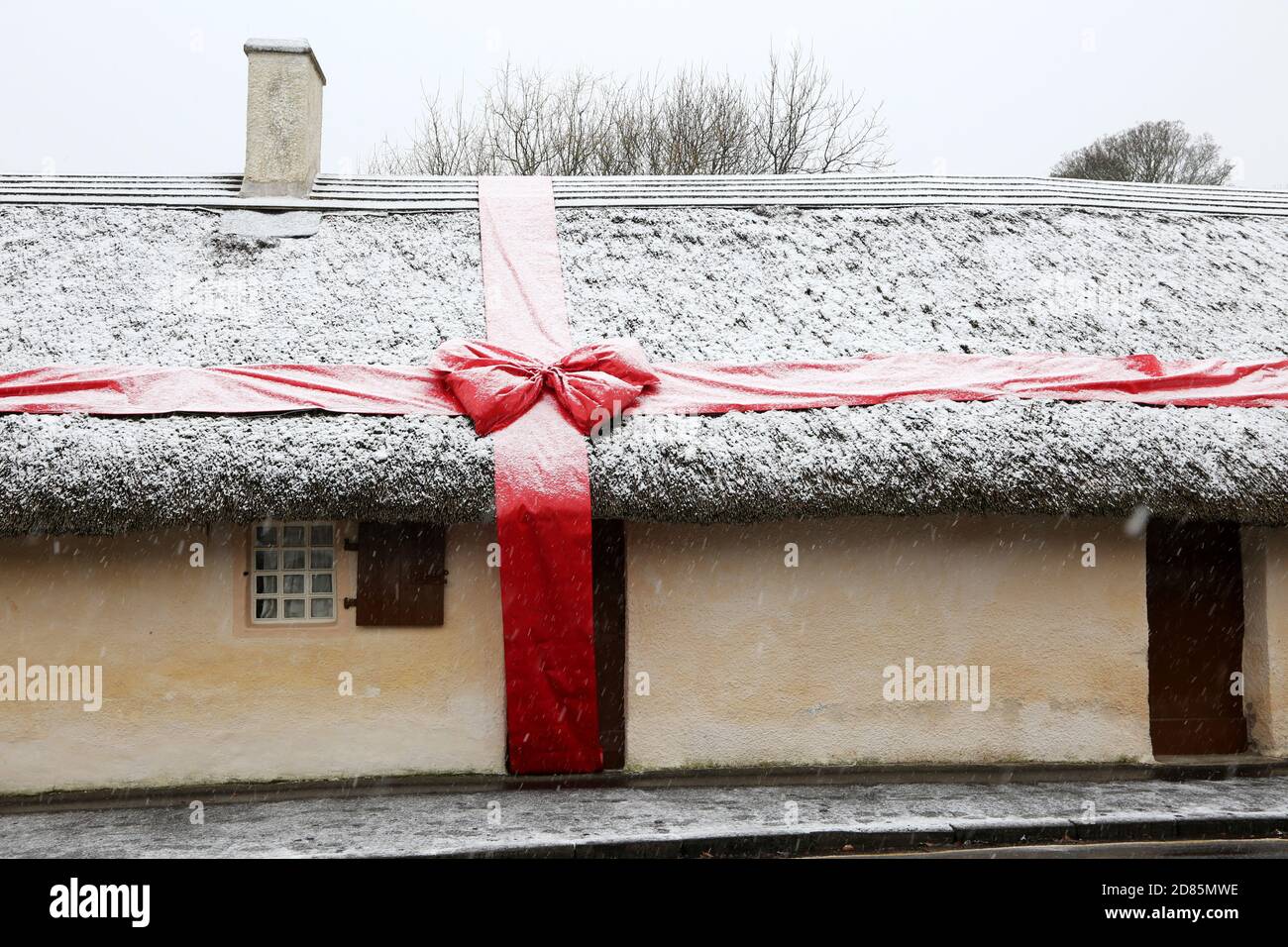 Burns Cottage, Alloway.Ayrshire, Écosse, Royaume-Uni le cottage avec un ruban rouge lagre au-dessus de lui comme il est prêt à célébrer la naissance de Robert Burns comme chutes de neige.Le cottage était le lieu de naissance du poète le plus célèbre d'Écosse, Robert Burns.À l'anniversaire de sa naissance le 25 janvier, Burns Cène a lieu pour le célébrer. Banque D'Images