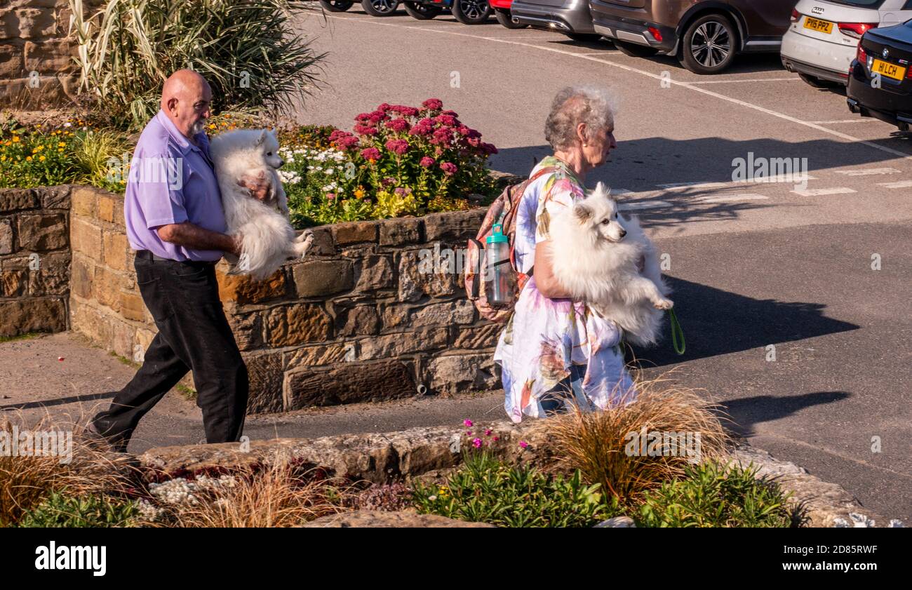 Couple senior transportant des chiens de compagnie, Whitby, Angleterre, Royaume-Uni Banque D'Images