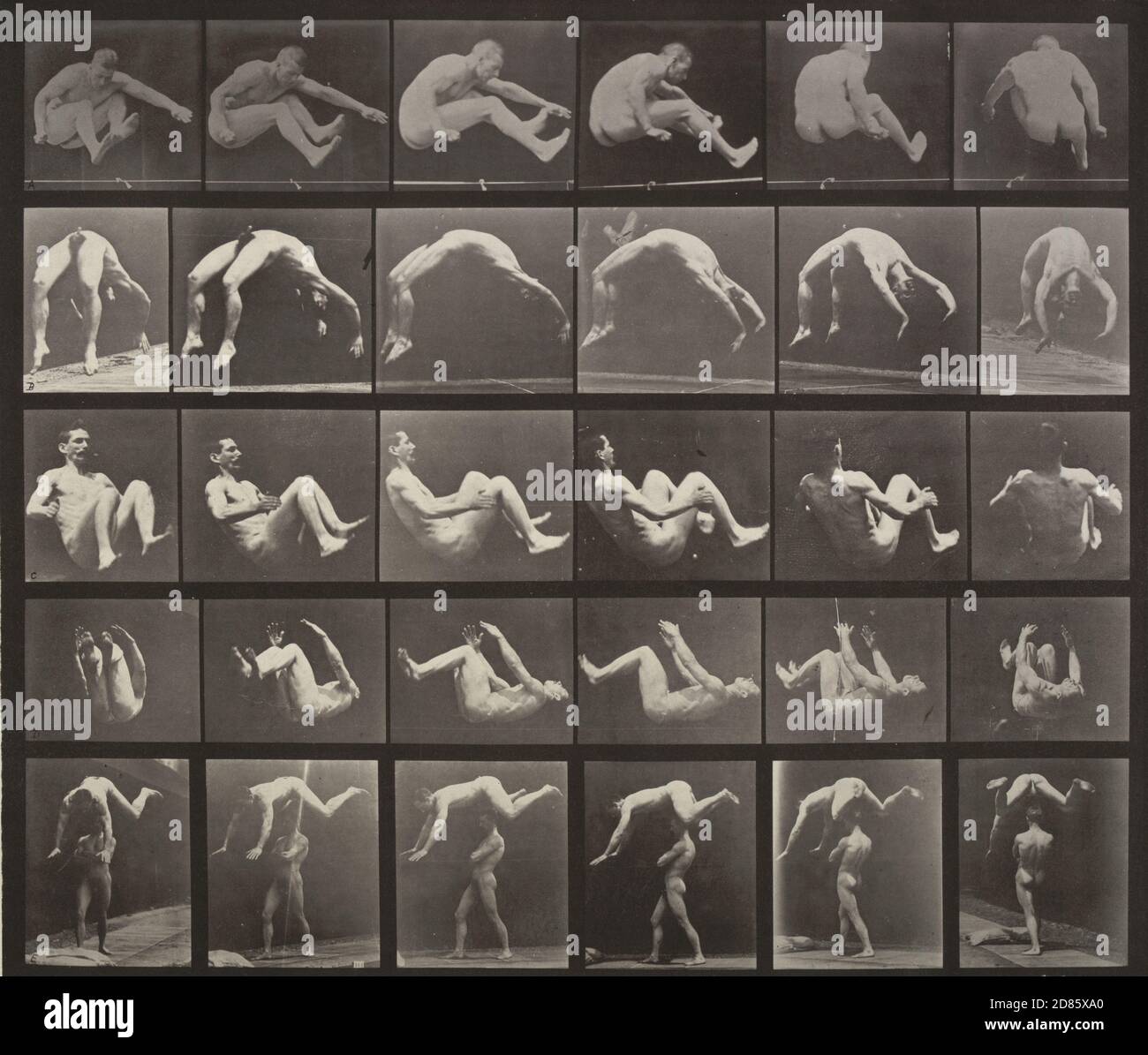 Photo d'époque Eadlaund J. Muybridge – saut; Handspring; Somersault; germer sur le dos d'un homme: Planche 522 de locomotion animale (1887) 1884-86 Banque D'Images