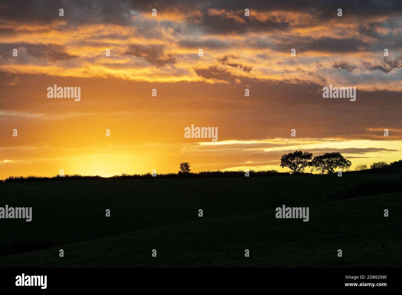 Coucher de soleil à Irthington, Cumbria, Royaume-Uni Banque D'Images