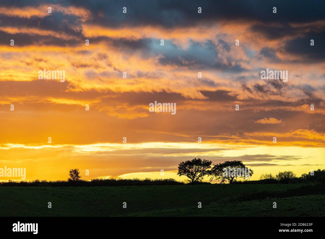 Coucher de soleil à Irthington, Cumbria, Royaume-Uni Banque D'Images