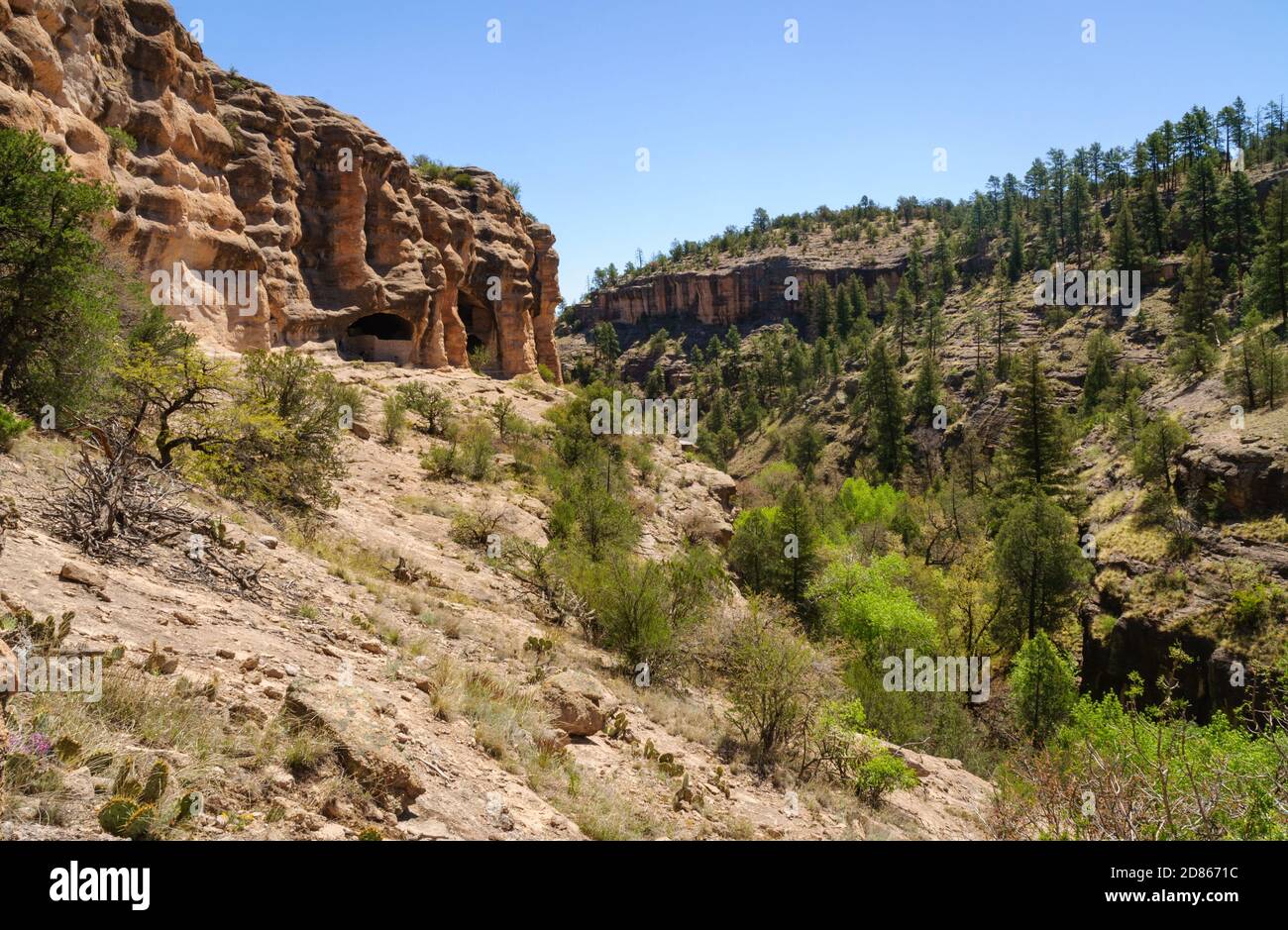 Gila Cliff dwellings National Monument Banque D'Images