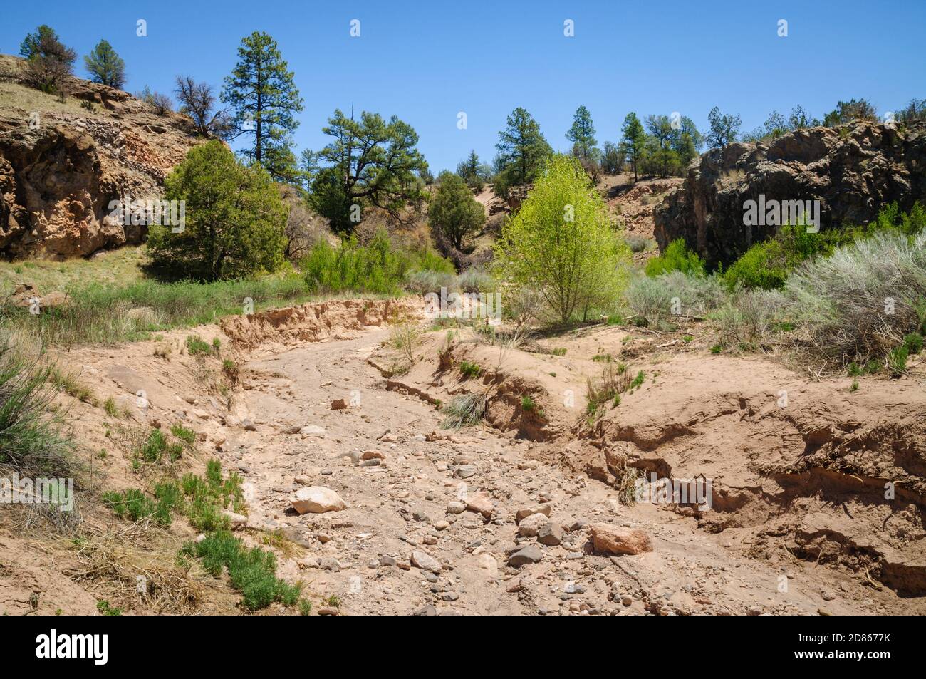Gila Cliff dwellings National Monument Banque D'Images