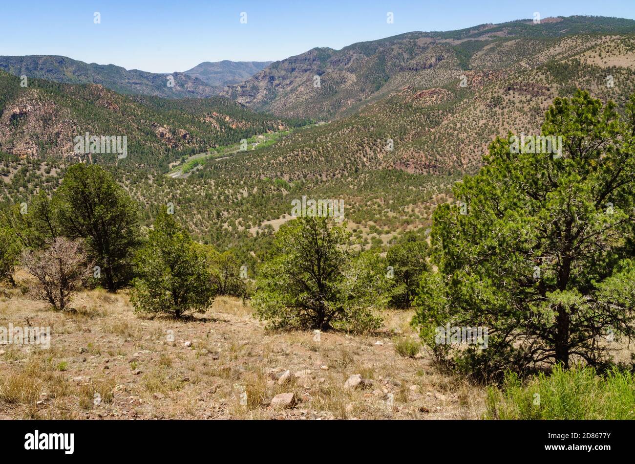 Gila Cliff dwellings National Monument Banque D'Images