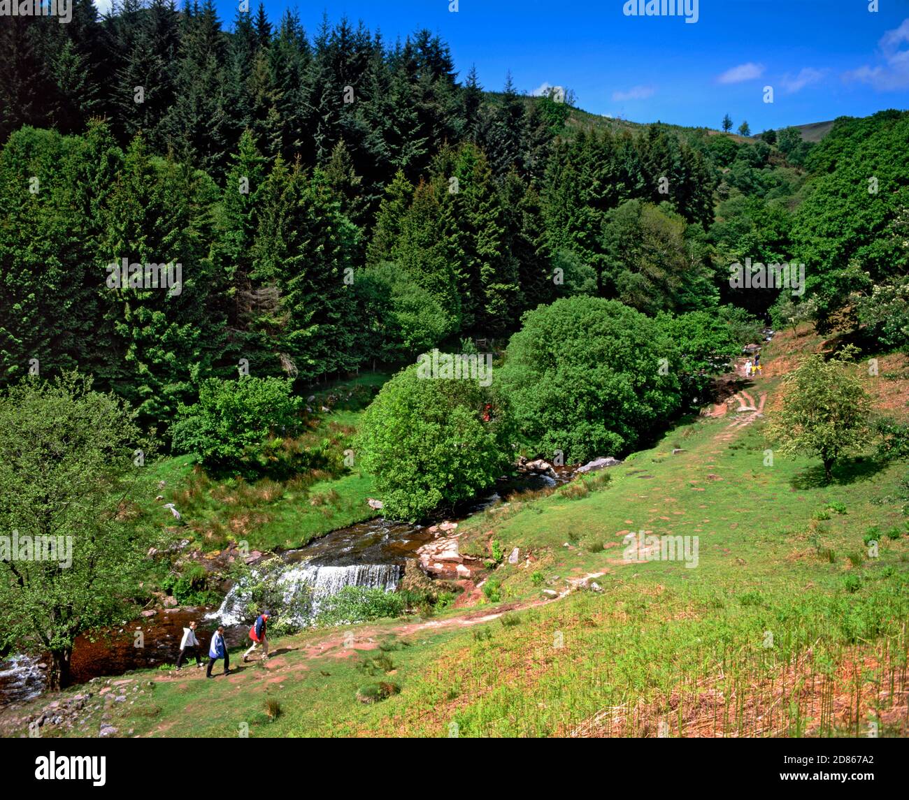 Rivière Caerfanell, Blaen Y Glyn, Parc National Des Brecon Beacons, Powys, Pays De Galles. Banque D'Images