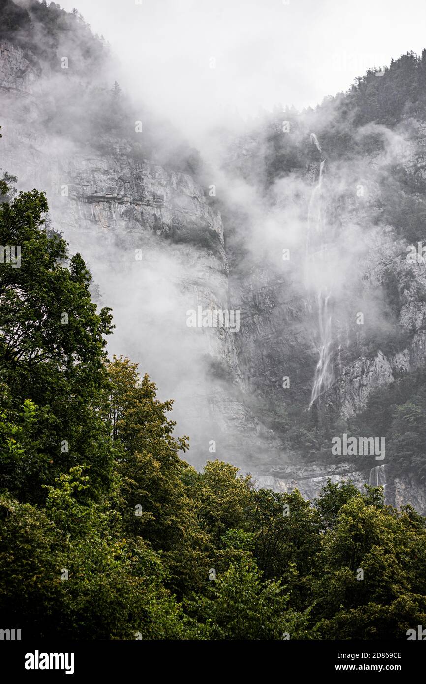 Magnifique paysage brumeux dans les montagnes. Arbres dans les montagnes suisses après la pluie. Suisse Banque D'Images
