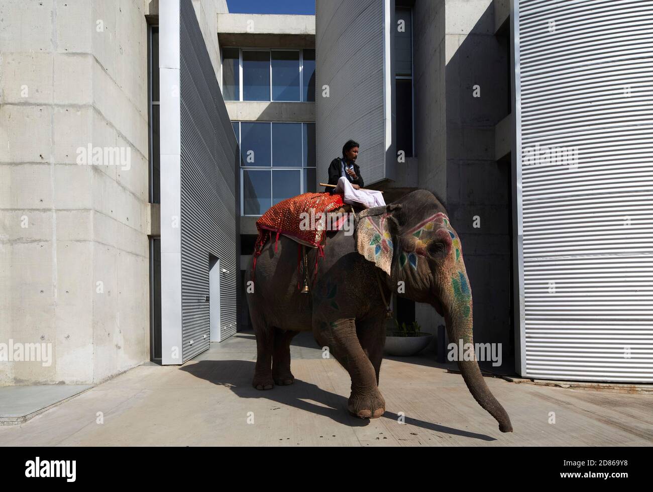 Vue de l'entrée avec éléphant. Gihed Credai, Ahmedabad, Inde. Architecte: Matharoo Associates, 2020. Banque D'Images