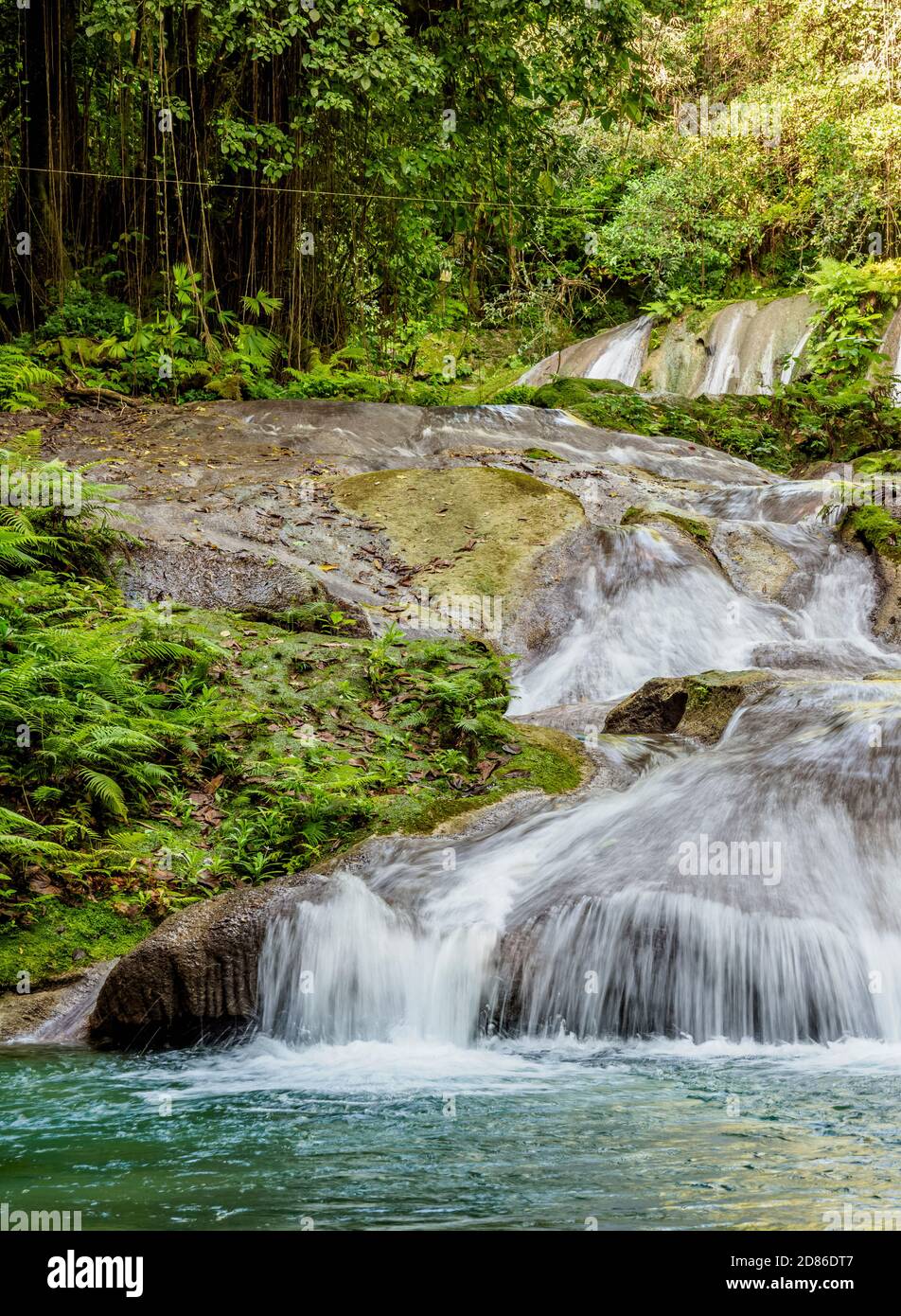 Reach Falls, paroisse de Portland, Jamaïque Banque D'Images