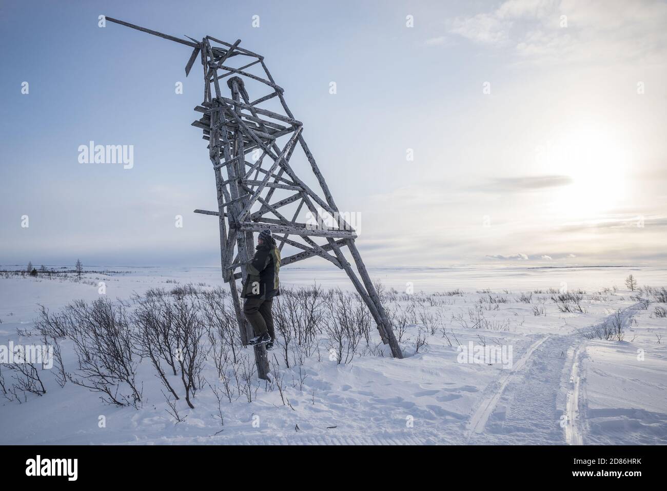 Un homme montant un treillis de bois pour trouver une couverture téléphonique dans un paysage de toundra enneigé, Yamalo-Nenets Autonomous Okrug, Russie Banque D'Images