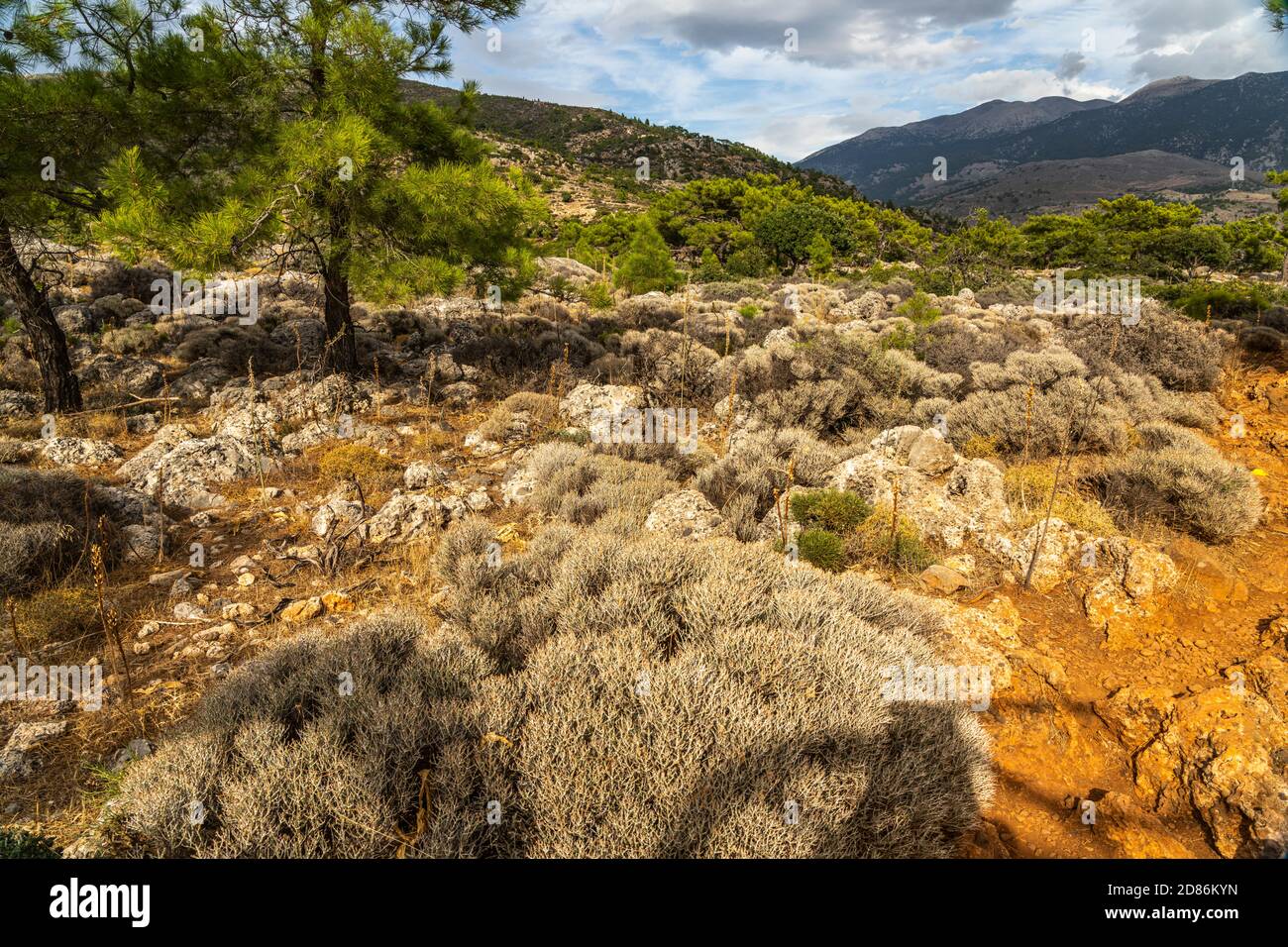 Wanderweg durch das Hochplateau zum antiken Lissos BEI Sougia, Kreta, Griechenland, Europa | sentier de randonnée à travers un plateau panoramique jusqu'à l'ancienne Banque D'Images