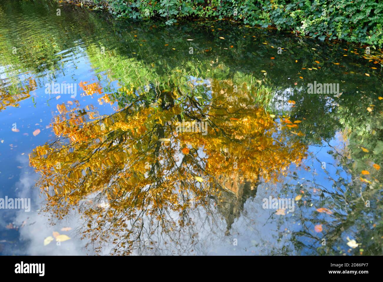 Reflet déformé de l'arbre d'automne et de la tour Cabot dans l'étang à Brandon Hill Park, Bristol, Royaume-Uni Banque D'Images