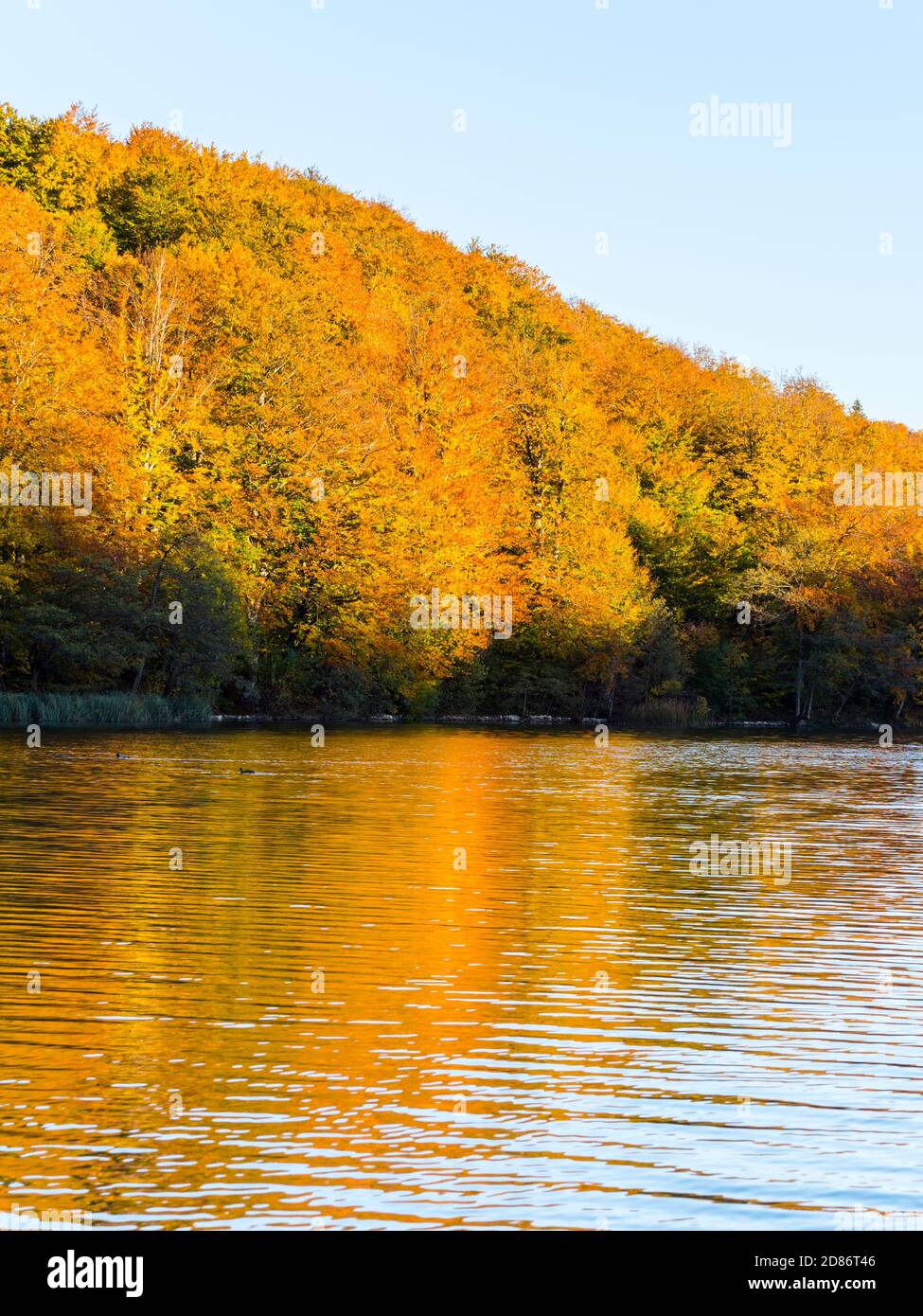 Paysage automnal fin d'après-midi calme et fluide surface de l'eau côte Couleurs chaudes dans le parc national des lacs de Plitvice situé en Croatie Europe Banque D'Images