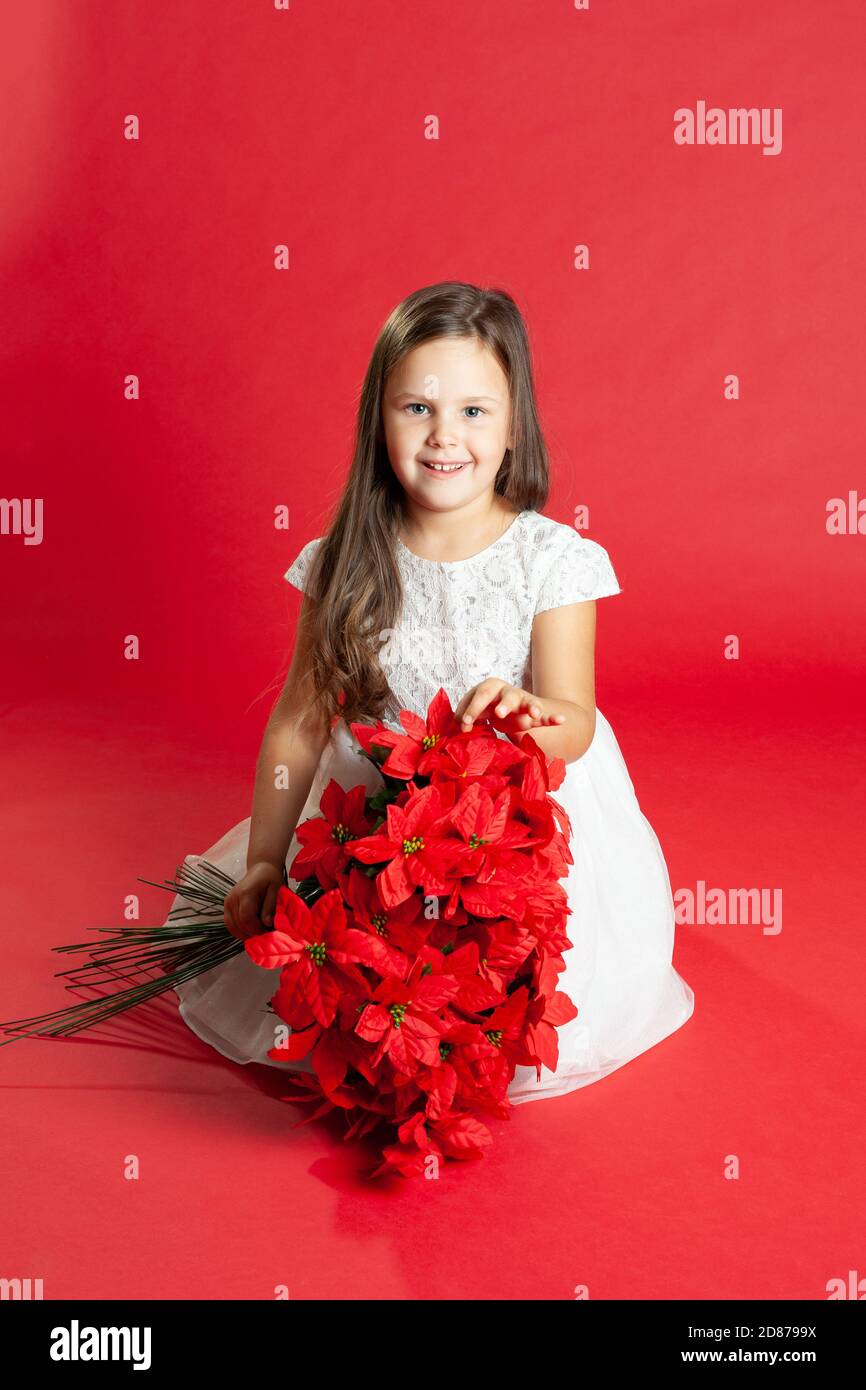 Enfant en robe blanche est assis sur le sol et tient un bouquet de fleurs  de Noël sur ses genoux, isolé sur un fond rouge Photo Stock - Alamy