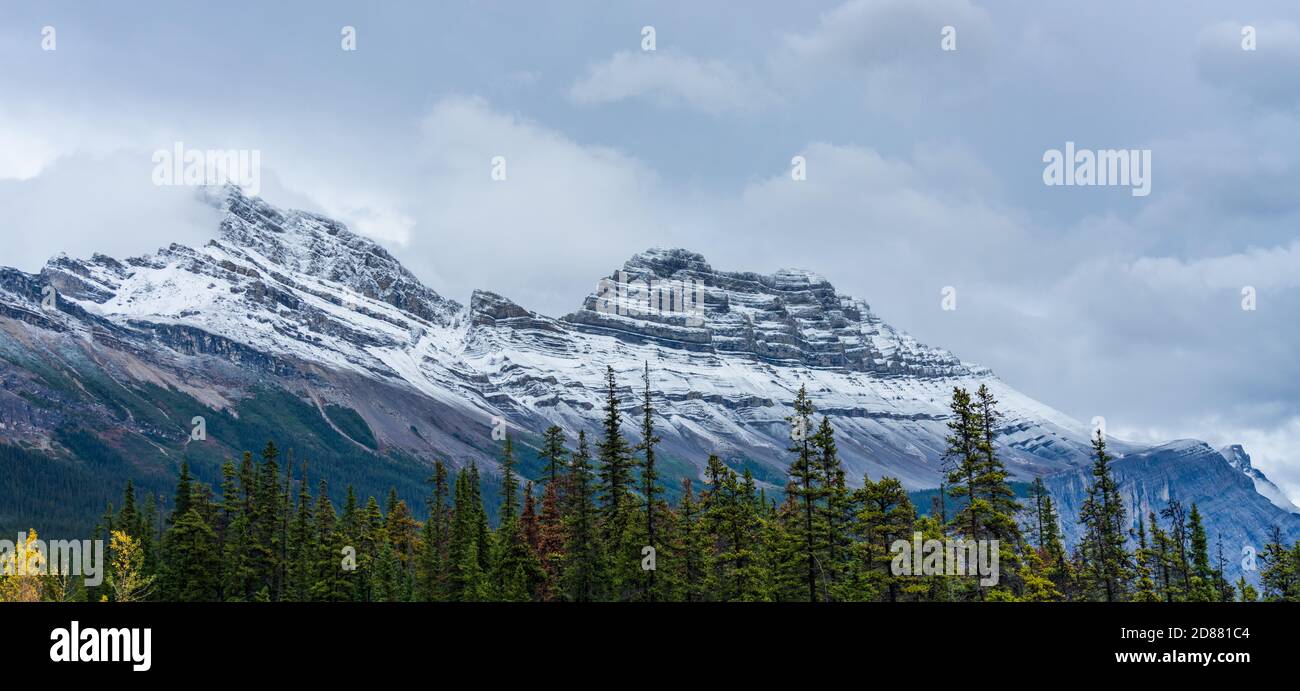 Montagne Cirrus enneigée à la fin de l'automne. Vue depuis la promenade Icefields (route 93 de l'Alberta), parc national Jasper, Canada. Banque D'Images