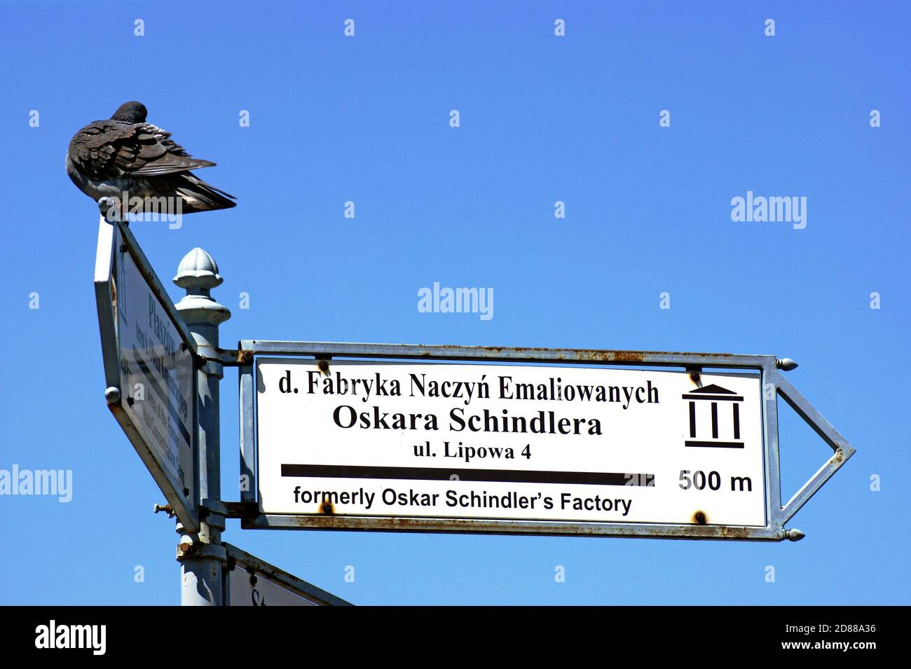 Un pigeon perche au-dessus d'un panneau à Cracovie, en Pologne, pointant vers l'ancienne usine Oskar Schindler, devenue un musée. Banque D'Images