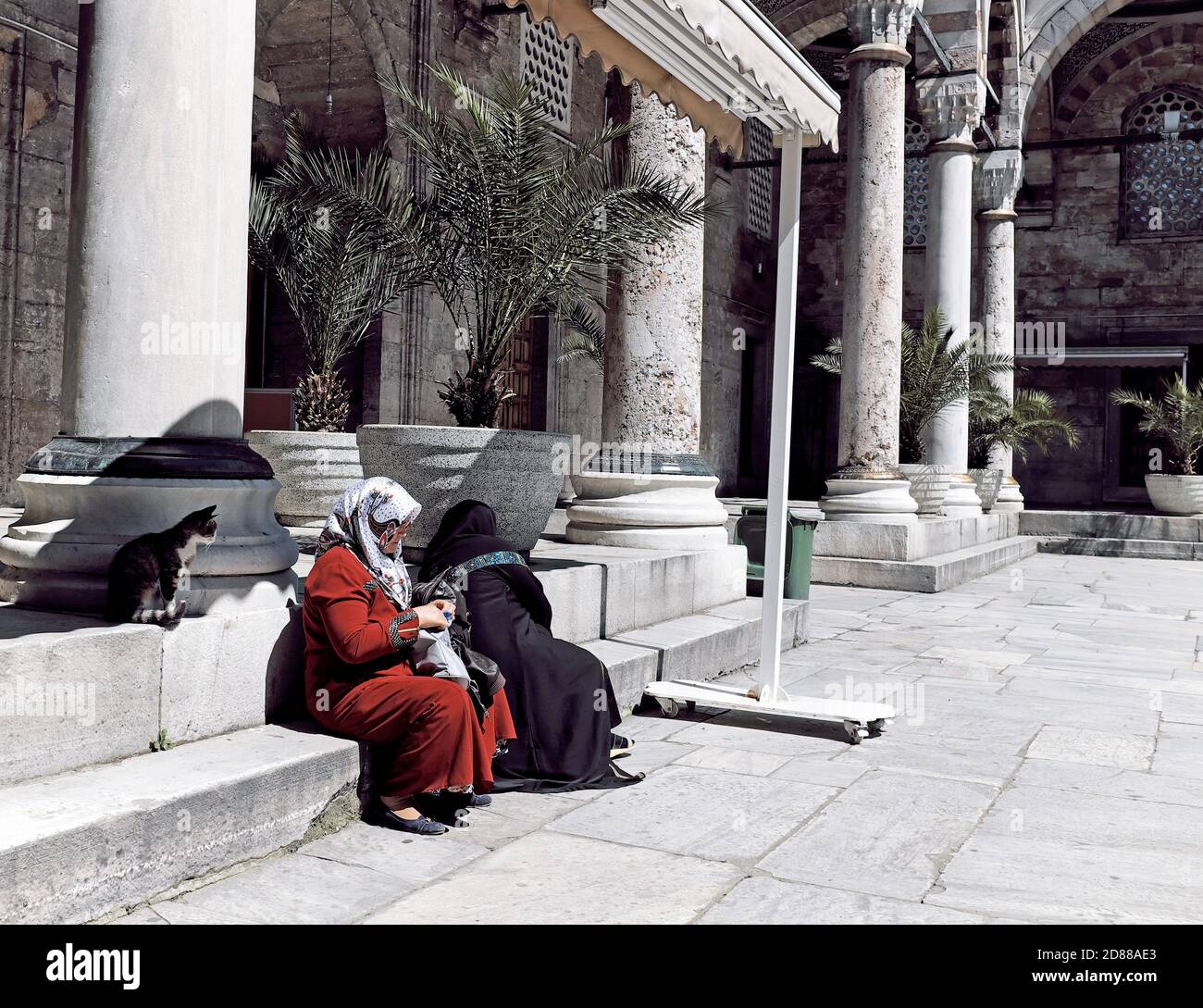 Un chat pend avec deux femmes plus âgées vêtues d'abaya et de hijab dans la cour à l'extérieur d'une mosquée à Istanbul, Turquie. Banque D'Images