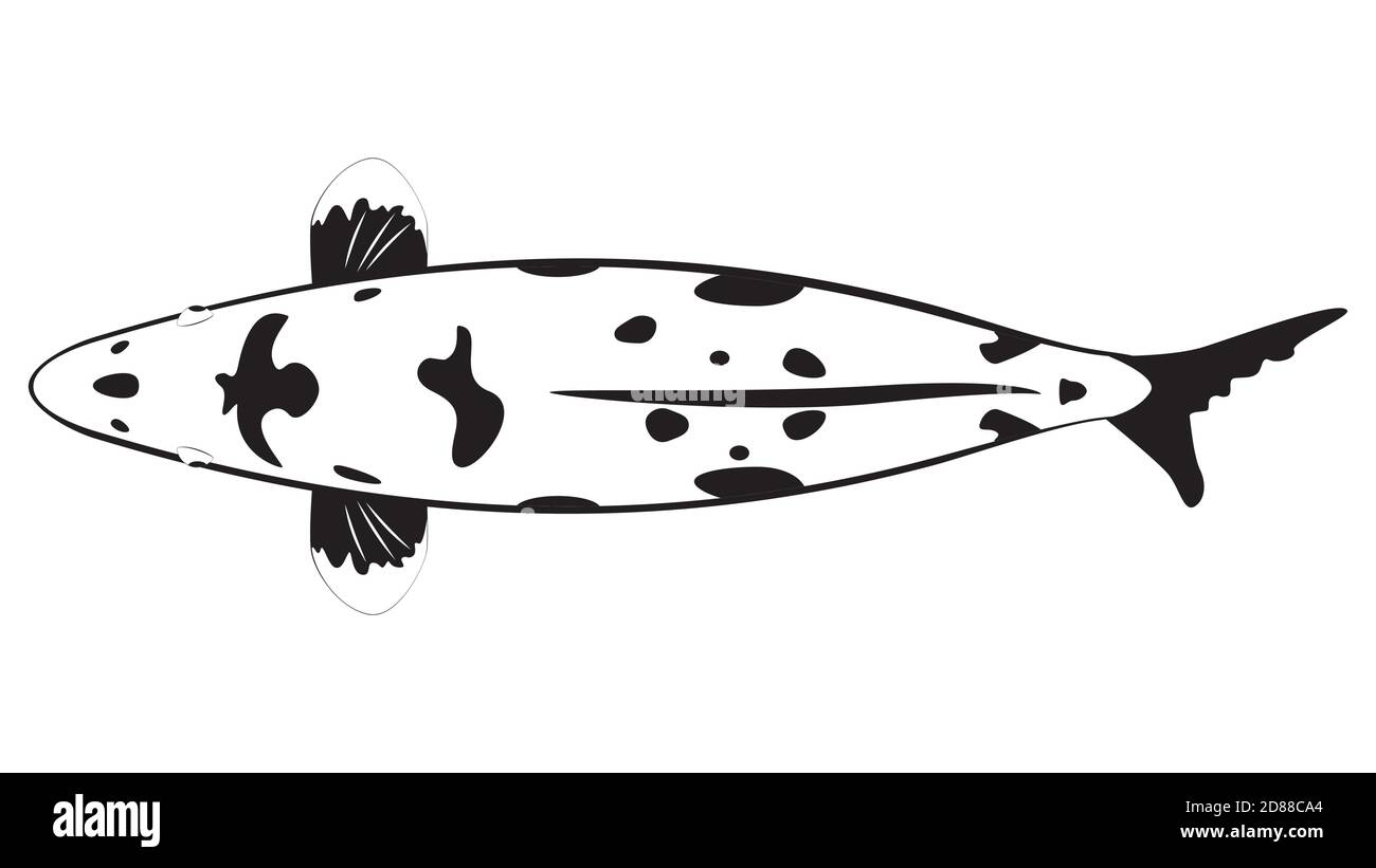 Carpe de poisson japonais décorative en noir et blanc. Illustration de Vecteur