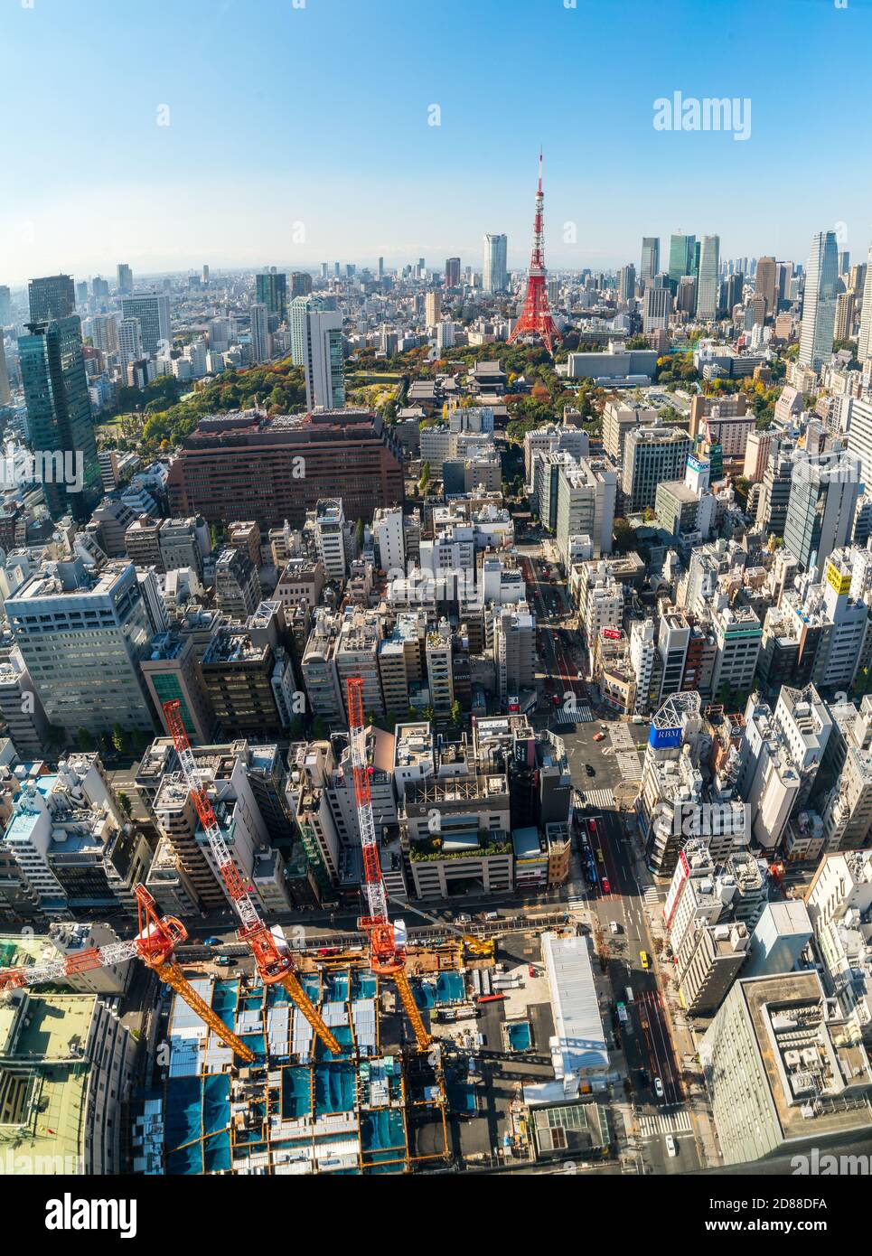 Tokyo, Japon - 12 novembre 2016 : Tokyo City Skyline avec la tour de Tokyo. La tour de Tokyo est une tour de communications et d'observation située dans le Shiba Banque D'Images