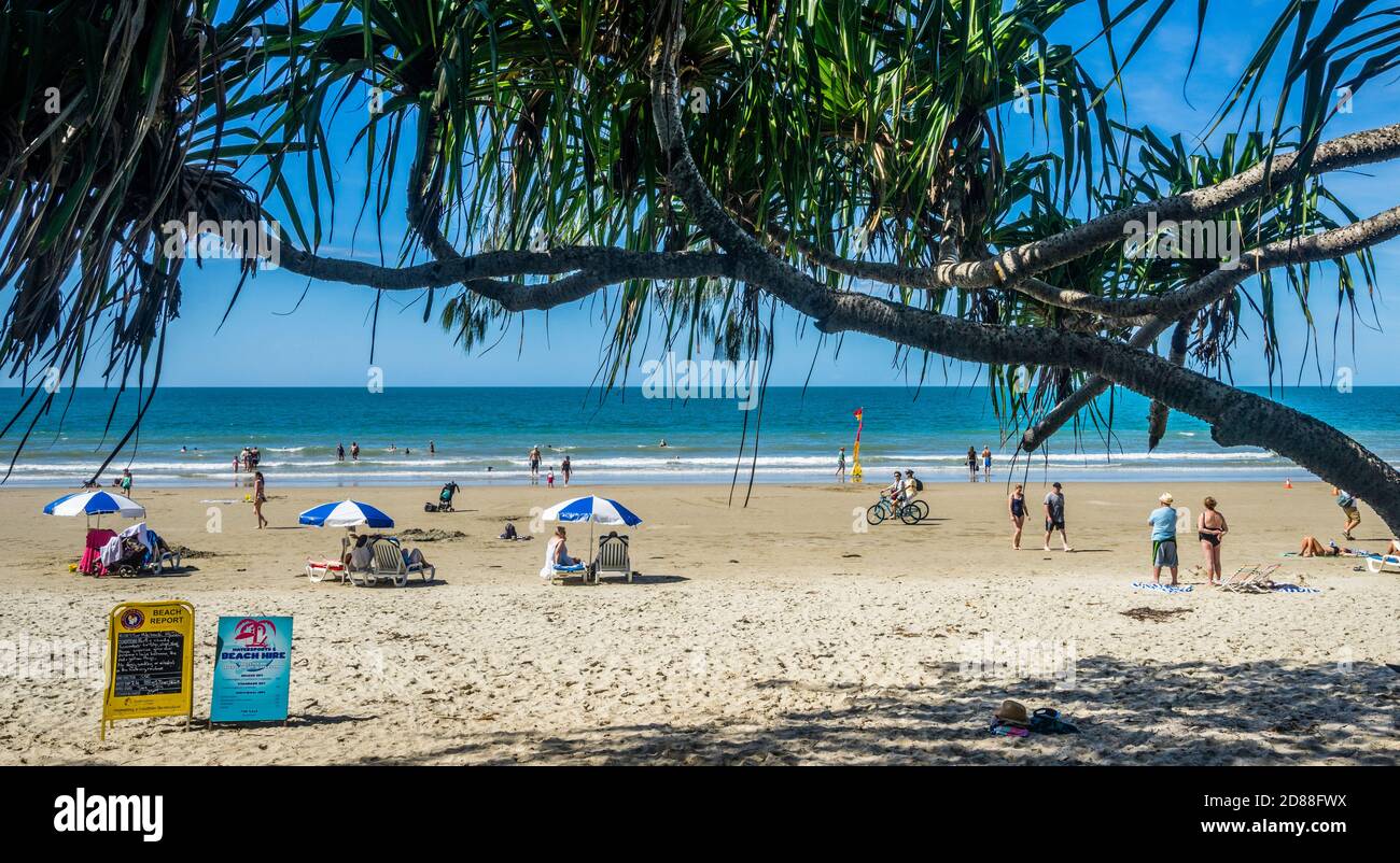 La vie sur la plage à four Mile Beach, Port Douglas, North Queensland, Australie Banque D'Images