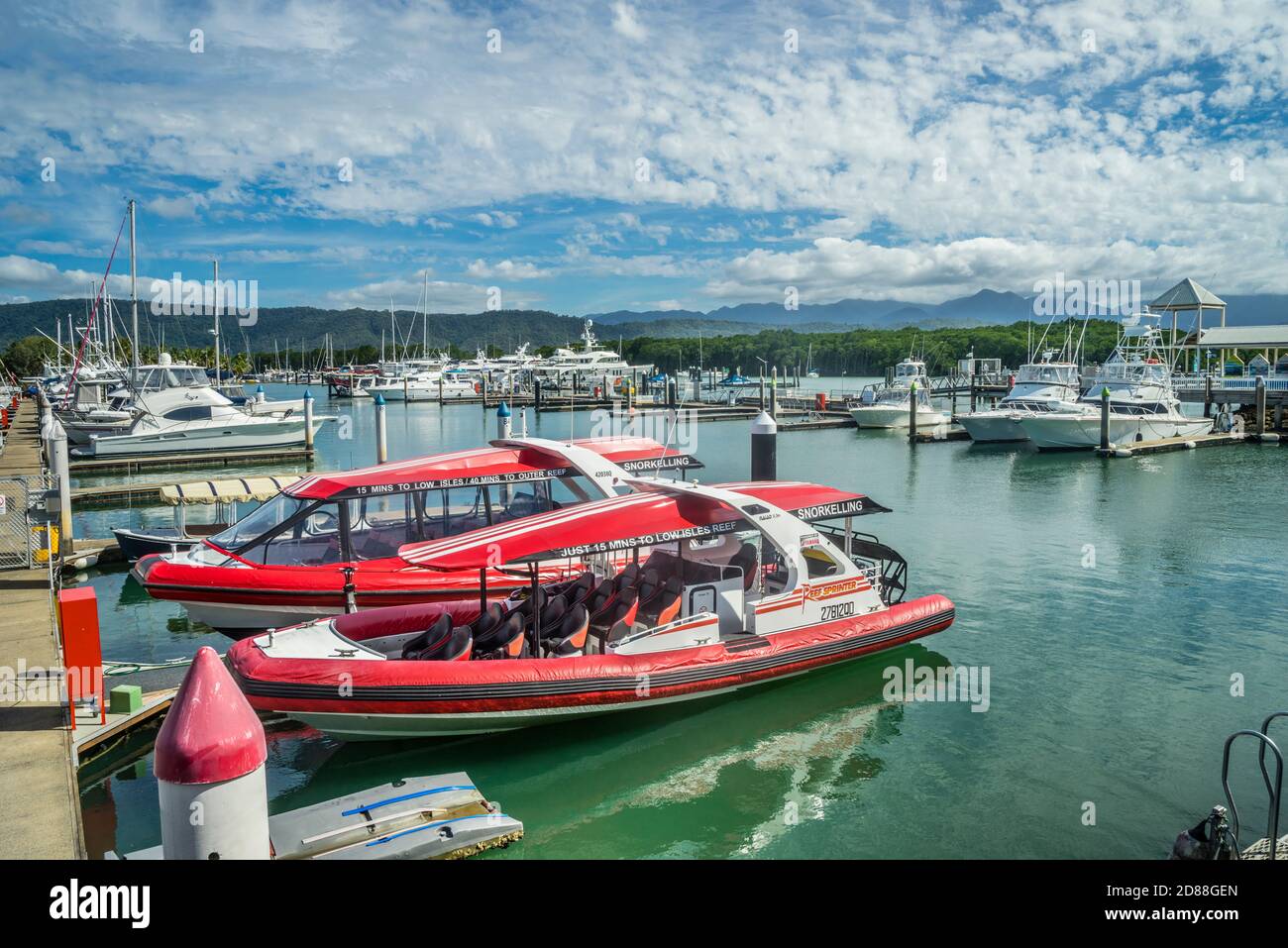 Bateaux d'excursion amarrés à Crystalbrook Superyacht Marina Port Douglas, Queensland du Nord, Australie Banque D'Images