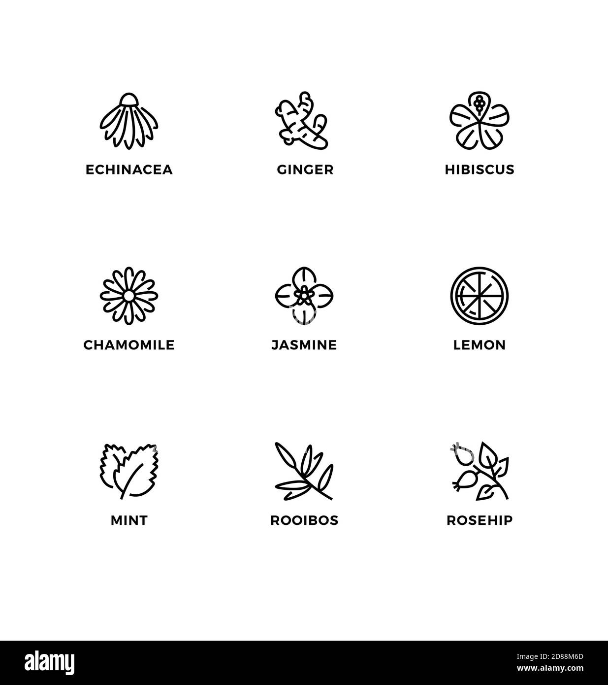 Ensemble vectoriel d'éléments de design, modèle de conception de logo, icônes et badges pour la saveur du thé biologique. Noir et blanc, jeu d'icônes de ligne, contour modifiable. Illustration de Vecteur