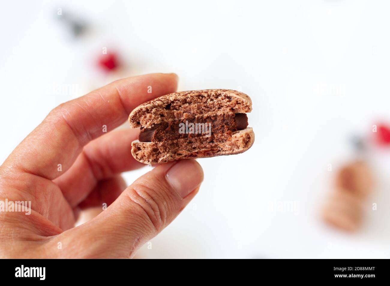 Mordiquer le macaron dans les mains Banque D'Images