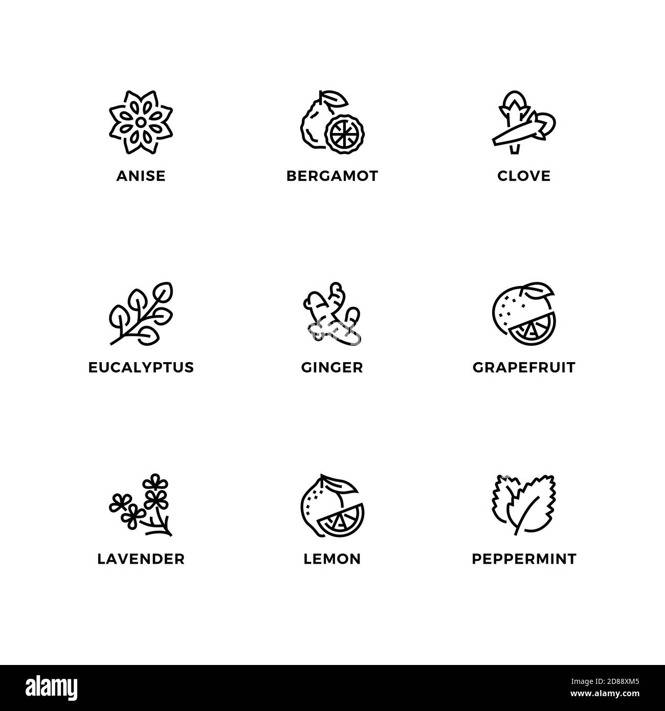 Ensemble vectoriel d'éléments de conception, modèle de conception de logo, icônes et badges pour les huiles essentielles modifiables. Jeu d'icônes de ligne, contour modifiable. Illustration de Vecteur