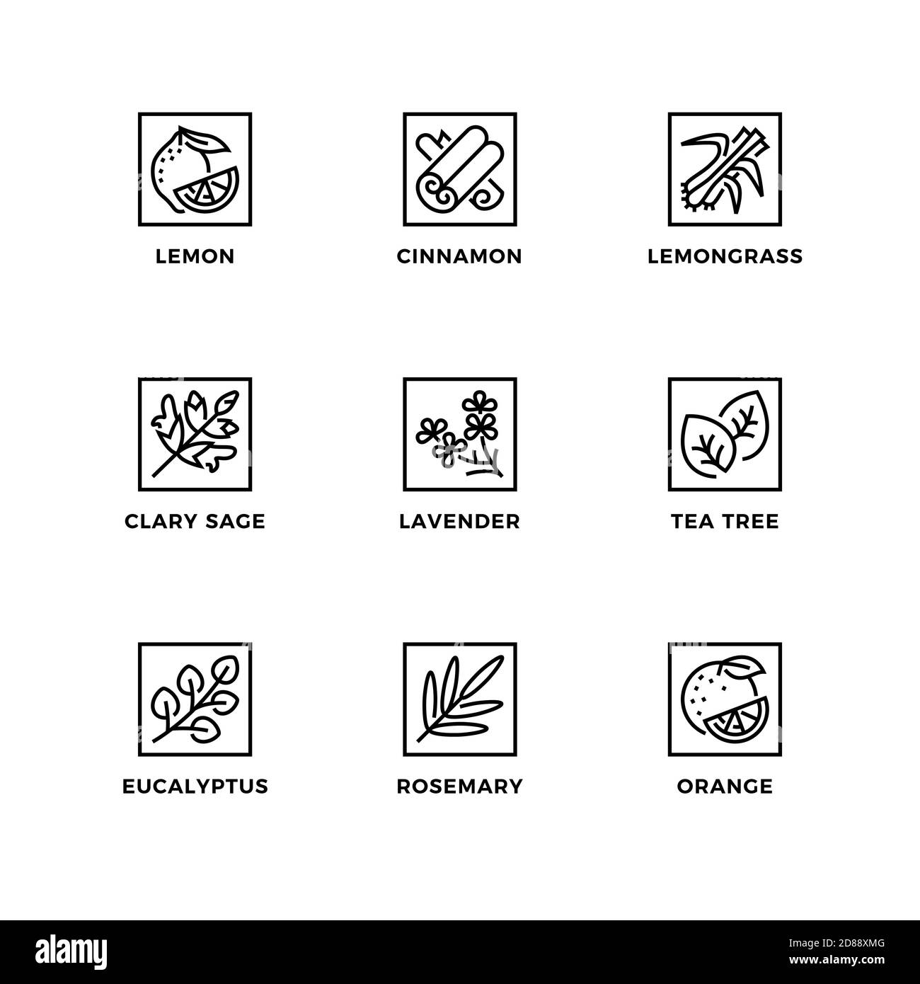 Ensemble vectoriel d'éléments de conception, modèle de conception de logo, icônes et badges pour les huiles essentielles. Jeu d'icônes de ligne, contour modifiable. Illustration de Vecteur