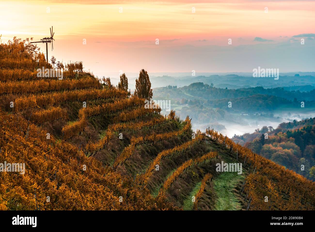 Vue d'automne de la route sud-styrienne en Autriche sur les collines en Slovénie pendant le lever du soleil. Banque D'Images