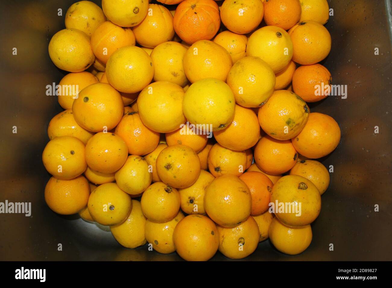 Oranges fraîches sous l'eau froide Banque D'Images