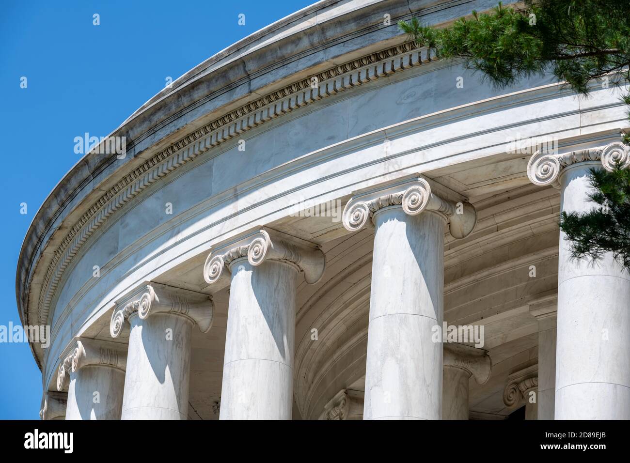 Les colonnes de l'ordre ionique, avec des capitales scinlées, supportent le dôme peu profond du Jefferson Memorial à Washington DC. Banque D'Images