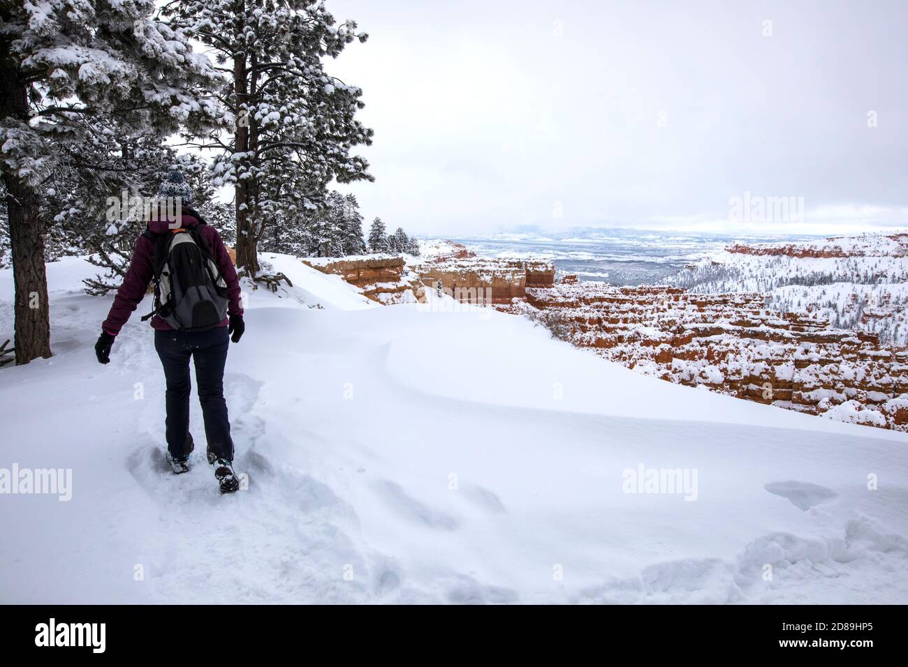 Vue arrière d'une femme qui fait de la randonnée dans la neige, parc national de Bryce Canyon, Utah, États-Unis Banque D'Images