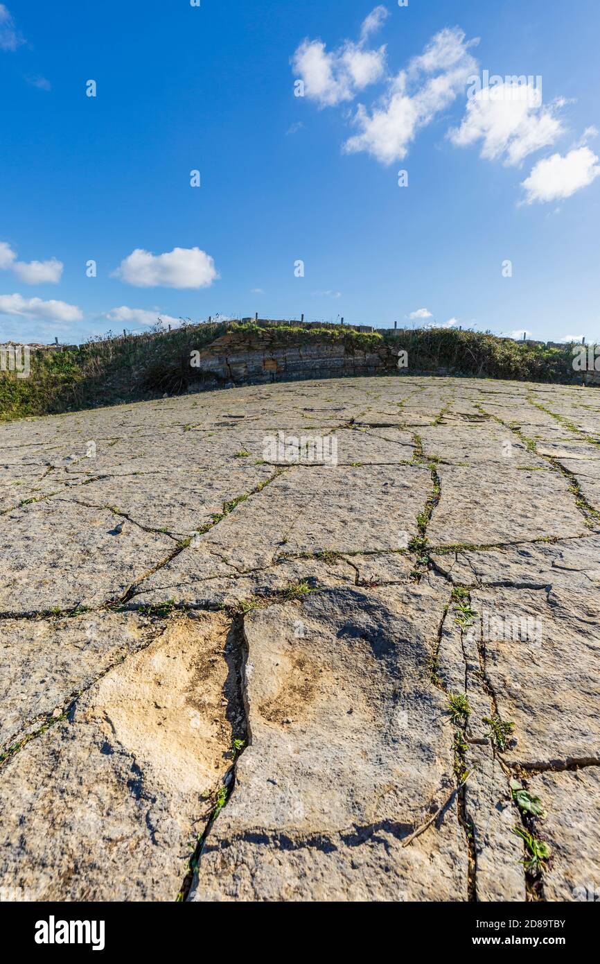 Empreintes de dinosaures à la carrière Keates, sur la côte jurassique, près de Langton Matravers, à Dorset, en Angleterre Banque D'Images