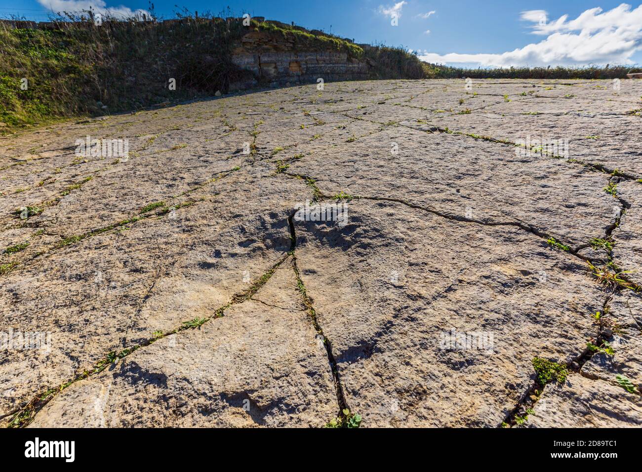 Empreintes de dinosaures à la carrière Keates, sur la côte jurassique, près de Langton Matravers, à Dorset, en Angleterre Banque D'Images